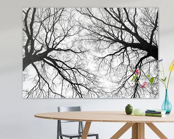 Winter trees