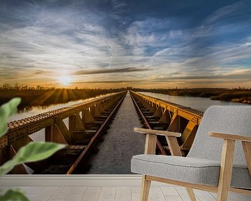 De Moerputtenbrug in Den Bosch tijdens de gouden zonsondergang van MS Fotografie | Marc van der Stelt