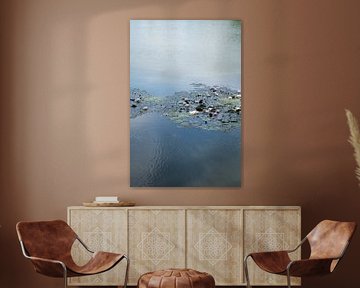 Water lilies and pale blue reflection 2 by Adriana Müller