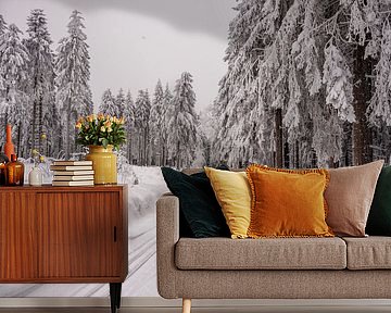 Korte winterwandeling in het besneeuwde Thüringer Woud bij Floh-Seligenthal - Thüringen - Duitsland