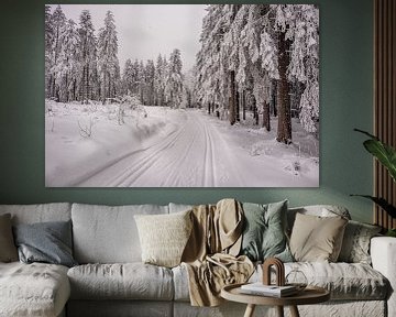 Korte winterwandeling in het besneeuwde Thüringer Woud bij Floh-Seligenthal - Thüringen - Duitsland van Oliver Hlavaty