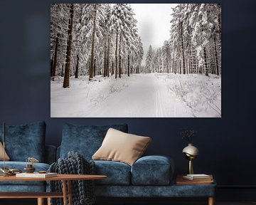 Short winter hike in the snow-covered Thuringian Forest near Floh-Seligenthal - Thuringia - Germany by Oliver Hlavaty