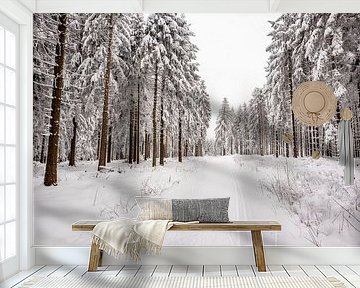 Korte winterwandeling in het besneeuwde Thüringer Woud bij Floh-Seligenthal - Thüringen - Duitsland