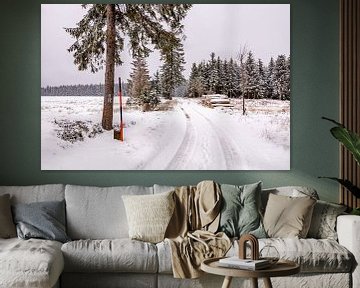 Eerste winterwandeling door het besneeuwde Thüringer Woud bij Tambach-Dietharz - Thüringen - Duitsland van Oliver Hlavaty