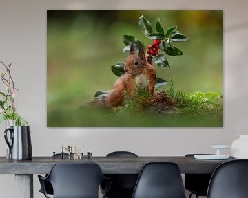 Eekhoorn in het bos van HB Photography