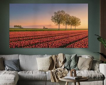 Tulpen im Johannes-Kerkhovenpolder in Groningen von Marga Vroom