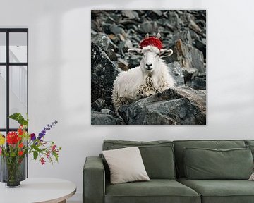 Mountain goat with red wool cap by Vlindertuin Art