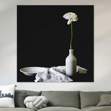 Stillleben weiße Ranunkel in weißer Vase