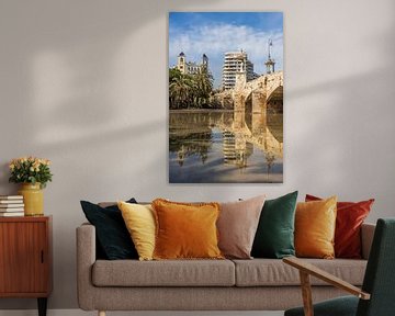 Turia garden with reflection in Valencia by Sander Groenendijk