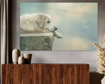 Silent Watchman - The Pyrenean Mountain Dog by Karina Brouwer