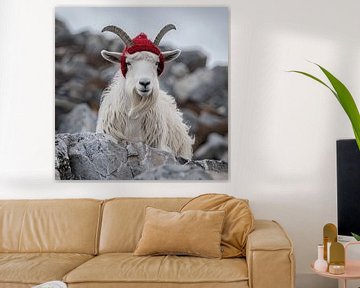 Chèvre de montagne blanche avec bonnet rouge sur Vlindertuin Art