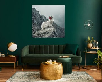 Berggeit met rood hoedje op een rots dierenportret van Vlindertuin Art