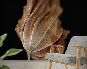 Art of Leaf - Macro photo of a dried flower by Karin Bakker Fotografie