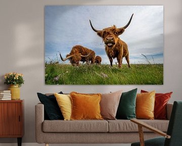 Scottish Highland cattle by Karsten Rahn