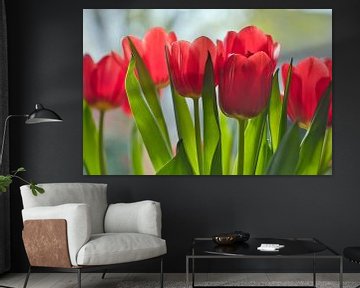 Een bos rode tulpen