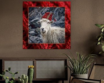 Portrait d'une chèvre de montagne sur Vlindertuin Art