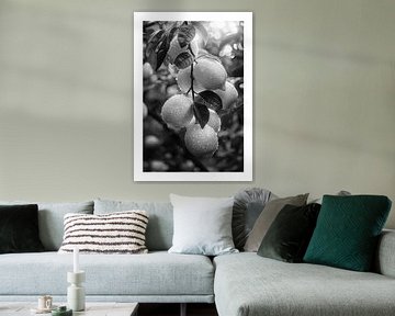 Verse citroenen op een tak met waterdruppels Macro shot van Poster Art Shop