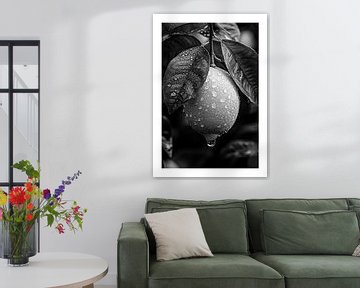 Close-up of a lemon with water droplets by Felix Brönnimann