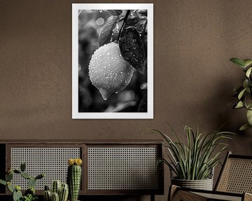 Close-up of a lemon with water droplets by Felix Brönnimann