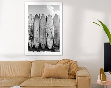 Series of used surfboards in black and white by Felix Brönnimann