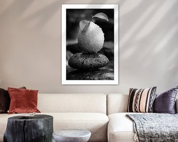 Bedauwde citroen op donkere steen in prachtig zwart-wit van Felix Brönnimann