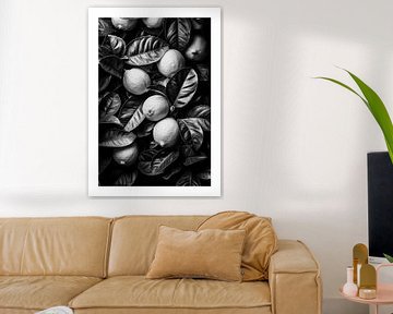 Rijpe citroenen omringd door verse bladeren, zwart en wit van Poster Art Shop
