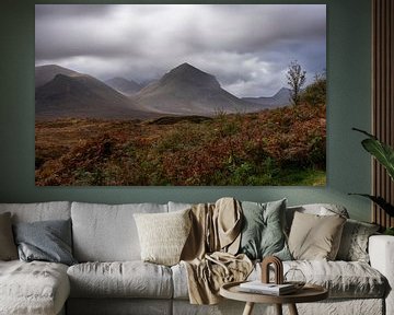 Isle of Skye in autumn by Franca Gielen