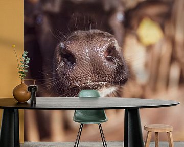 Feuchte Nase Kalb von Andrea de Grauw