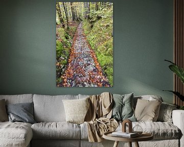 Celtic road, Roman road, Rottweg, historic railway line near Klais, Werdenfelser Land