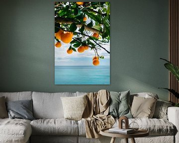 Côte amalfitaine Oranges IV sur Bethany Young Photography