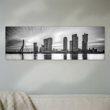 Rotterdam skyline with the head of south by eric van der eijk