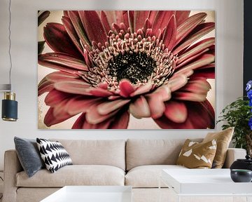 Red Gerbera by Rietje Bulthuis