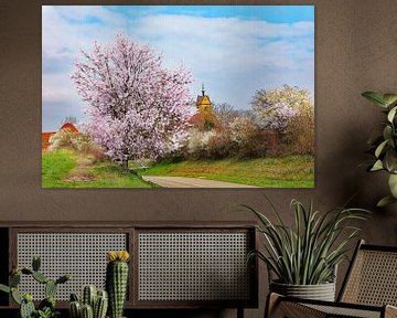 Spring at the Kaiserstuhl near Niederroteil