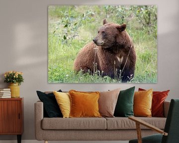 Brown bear in Canada with heart on his chest by Inge van den Brande