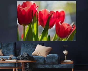 Tulipes, fleurs rouges des Pays-Bas sur Jolanda de Jong-Jansen