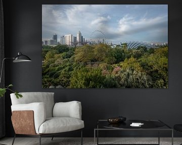 Dôme de fleurs et forêt de nuages, Singapour | Photographie de voyage sur Ylenia Di Pietra