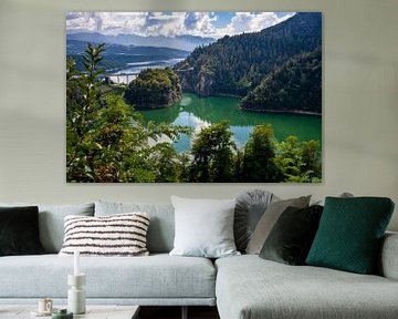 Lake Santa Giustina in the Dolomites during summer by Dafne Vos