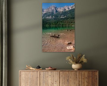 Canards dans un lac de montagne vert vif dans les Dolomites en Italie sur Dafne Vos