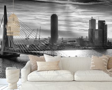 Rotterdam Skyline in the morning (Zwartwit) van Rob van der Teen