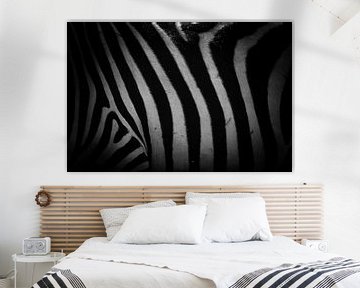 Zèbre noir et blanc minimaliste sur Nicolette Suijkerbuijk Fotografie
