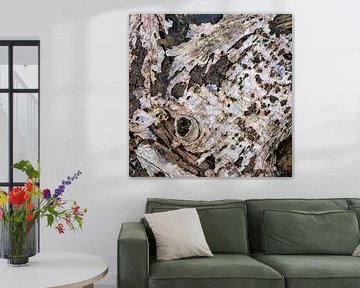 Exotisch beeld van een berk
