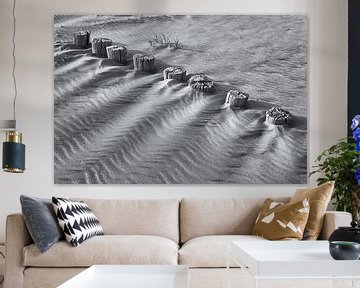 Pile row on the beach in black and white by Heidi Bol