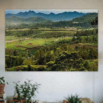 Reisfeldberge, Reisfeldberge