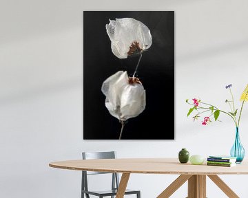 Fragile van Karin Bakker Fotografie