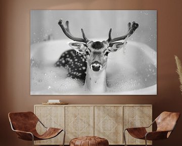 Hirsch im Badezimmer - Ein bezauberndes Badezimmerbild für Ihr WC von Felix Brönnimann