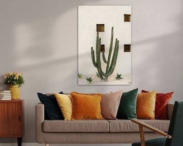 Cabo Cactus IX by Bethany Young Photography