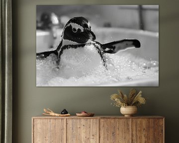 Cheerful penguin in the bath - an enchanting bathroom picture for your WC by Felix Brönnimann
