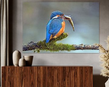 Kingfisher ... Lady with bridal gift by Wiltrud Schwantz