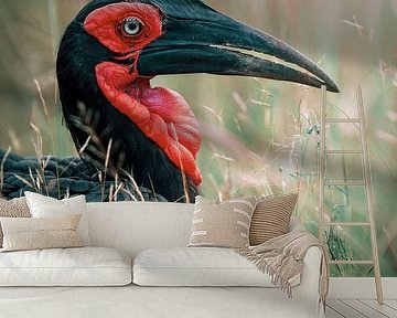 Südlicher Hornvogel in Südafrika