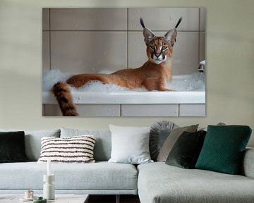 Serene caracal lynx in the bathtub - An exotic bathroom picture by Felix Brönnimann